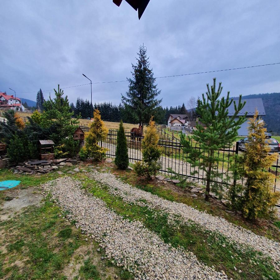 Chalet 888 Cottages Palyanytsya Eksteriør billede